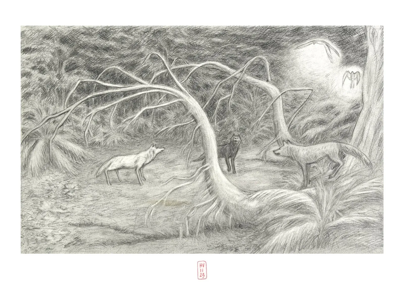 The wolf from uncle pellicola backlit da Humphrey VIDAL