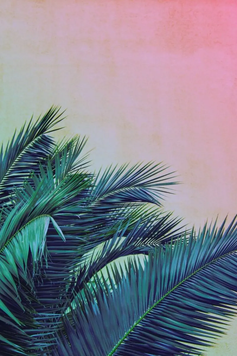 Pink Palm Tree Leaves carta hahnemühle da Victoria Frost