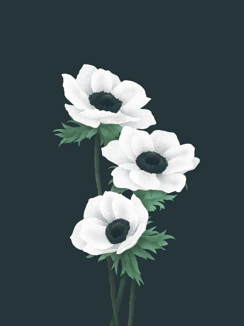 Anemoni bianchi pellicola backlit da Katja Stehle Design