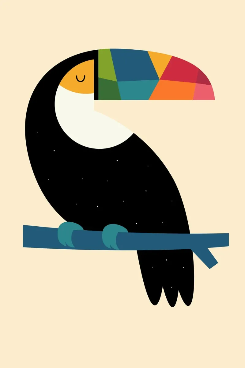 Rainbow Toucan hahnemühle by Andy Westface