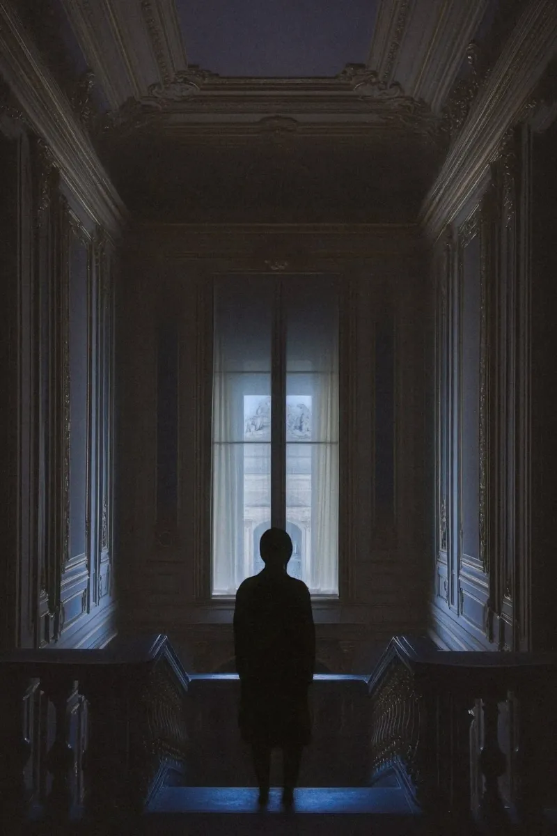 Silhouette Mystérieuse a Versailles pellicola backlit da By Night