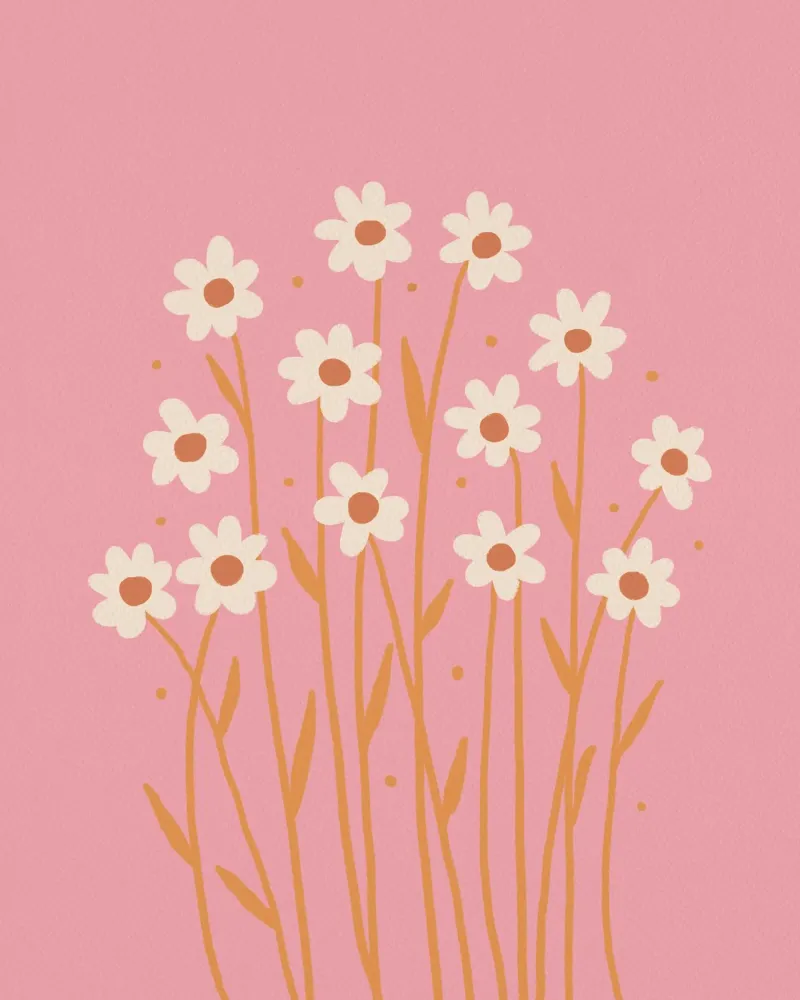 Margherite semplici - rosa e arancione poster con telaio in alluminio da Wackapacka