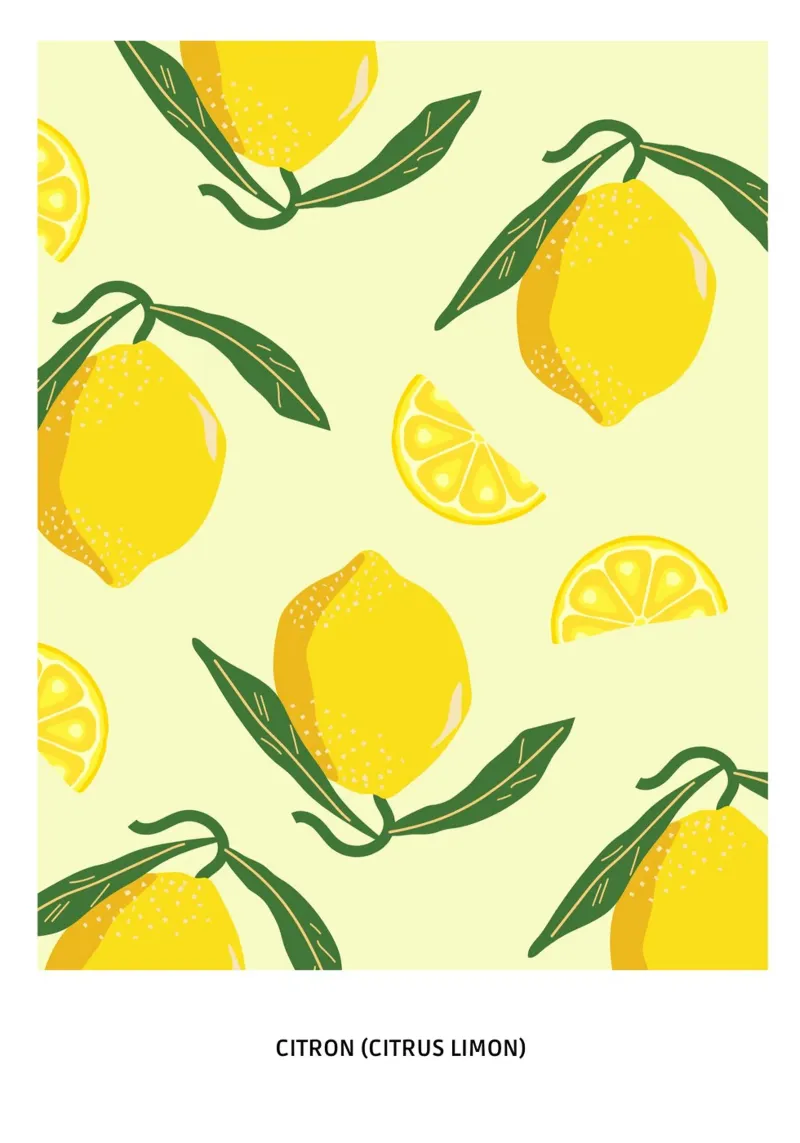 Citrus limon alluminio dibond da Idées & Création