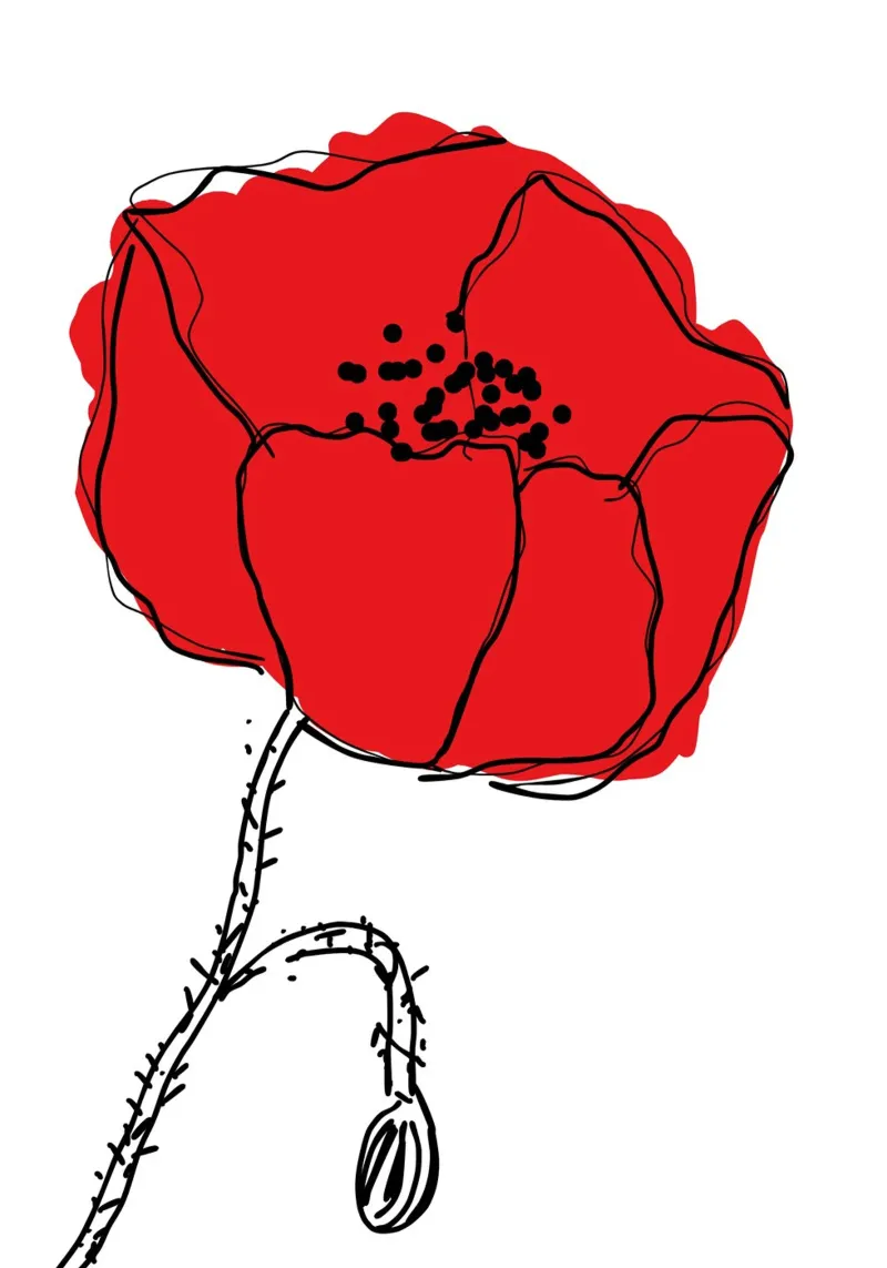 Coquelicot carta hahnemühle da Idées & Création