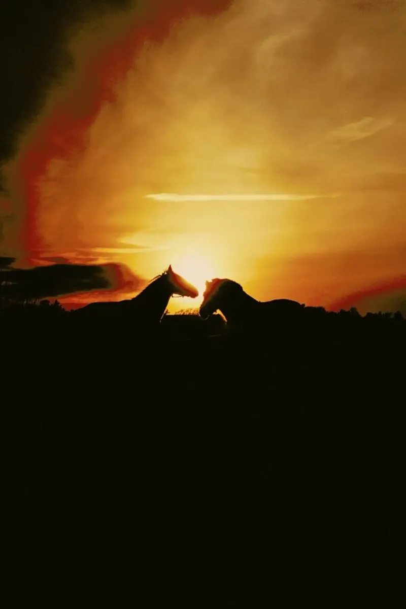 The Horses canvas by Pale Grain