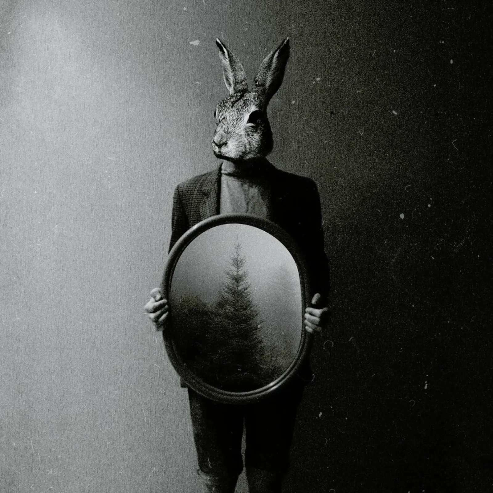 Animals in my room - Rabbit canvas by Evgeniy Stepanets