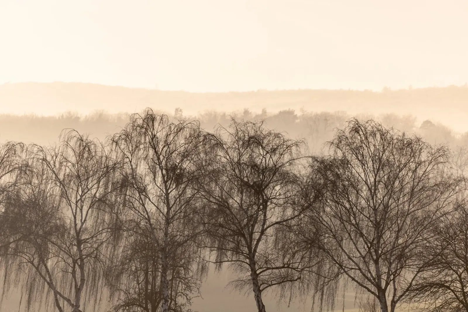 Fading Horizons 1 carta hahnemühle da Mareike Böhmer Photography