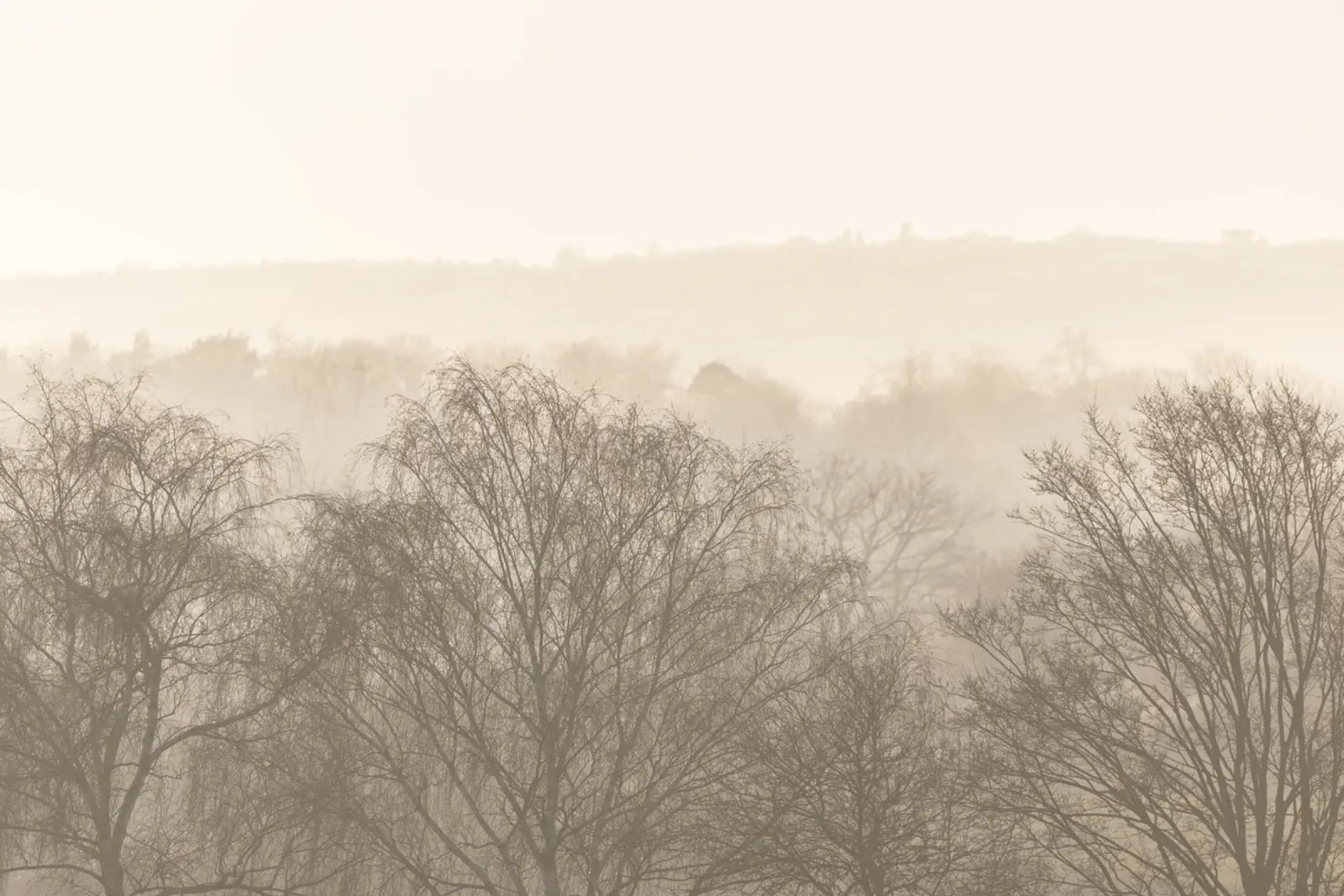 Fading Horizons 3 plexiglass da Mareike Böhmer Photography