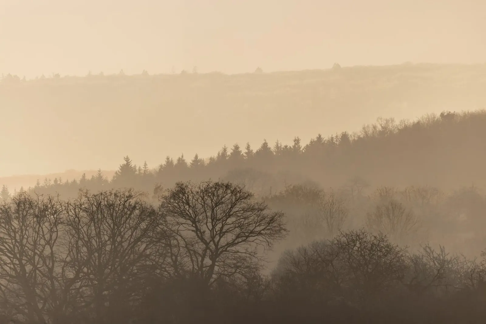 Fading Horizons 6 plexiglass da Mareike Böhmer Photography