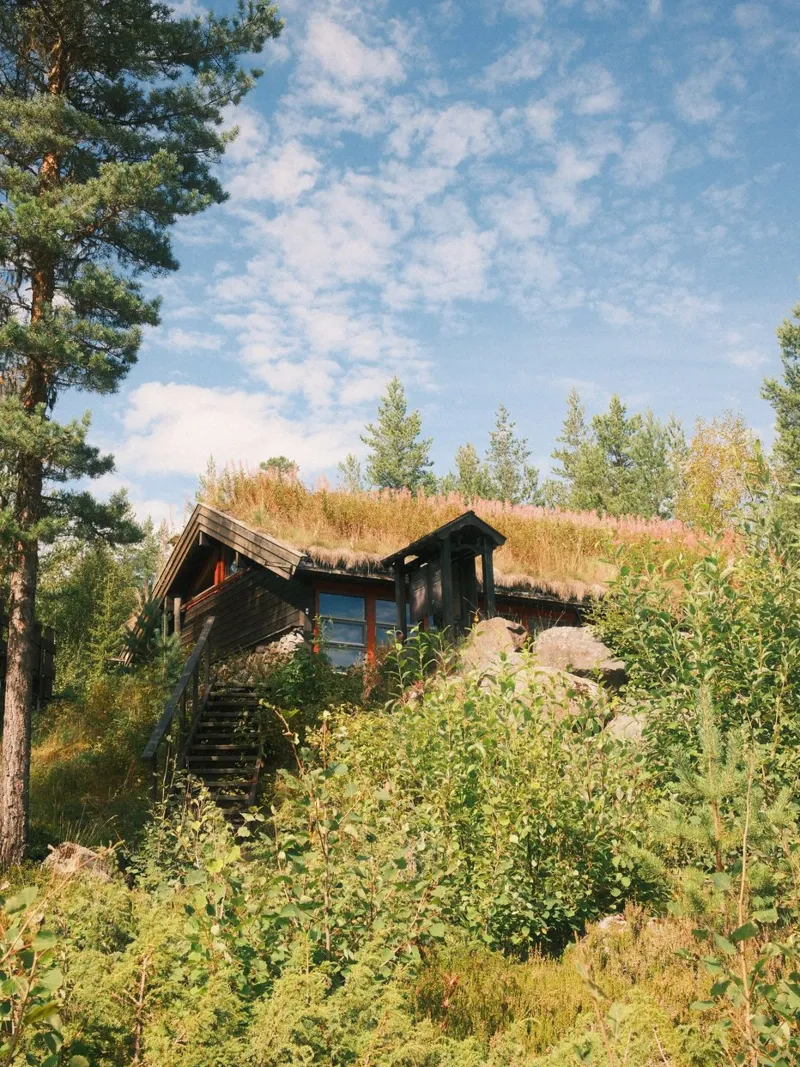 Cozy Norwegian Turf House tela con Cornice a cassetta da FujiPrints