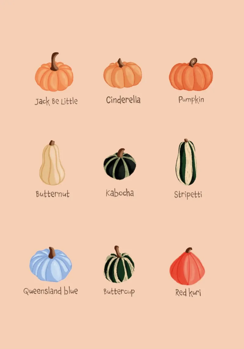 Squash carta hahnemühle da Papergreyy