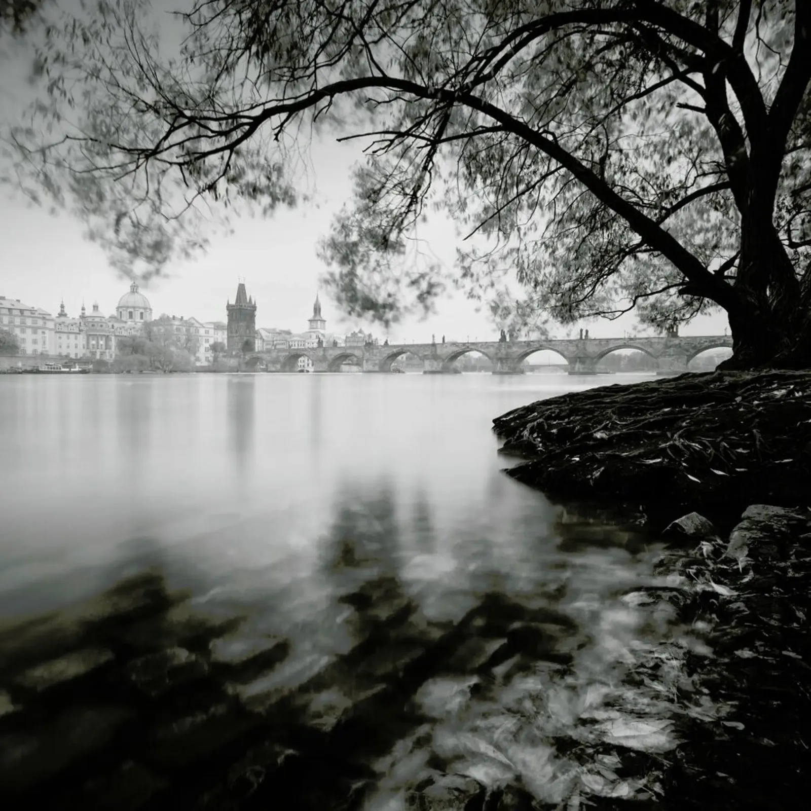 Vltava Study - Autumn Leaves, Prag pellicola backlit da Håggard Photography | Ronny Behnert