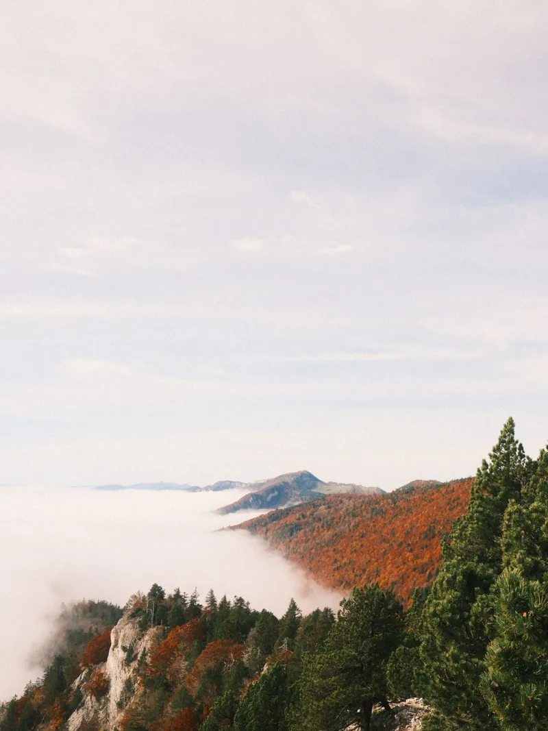 Misty Mountain View in Autumn pellicola backlit da FujiSwiss