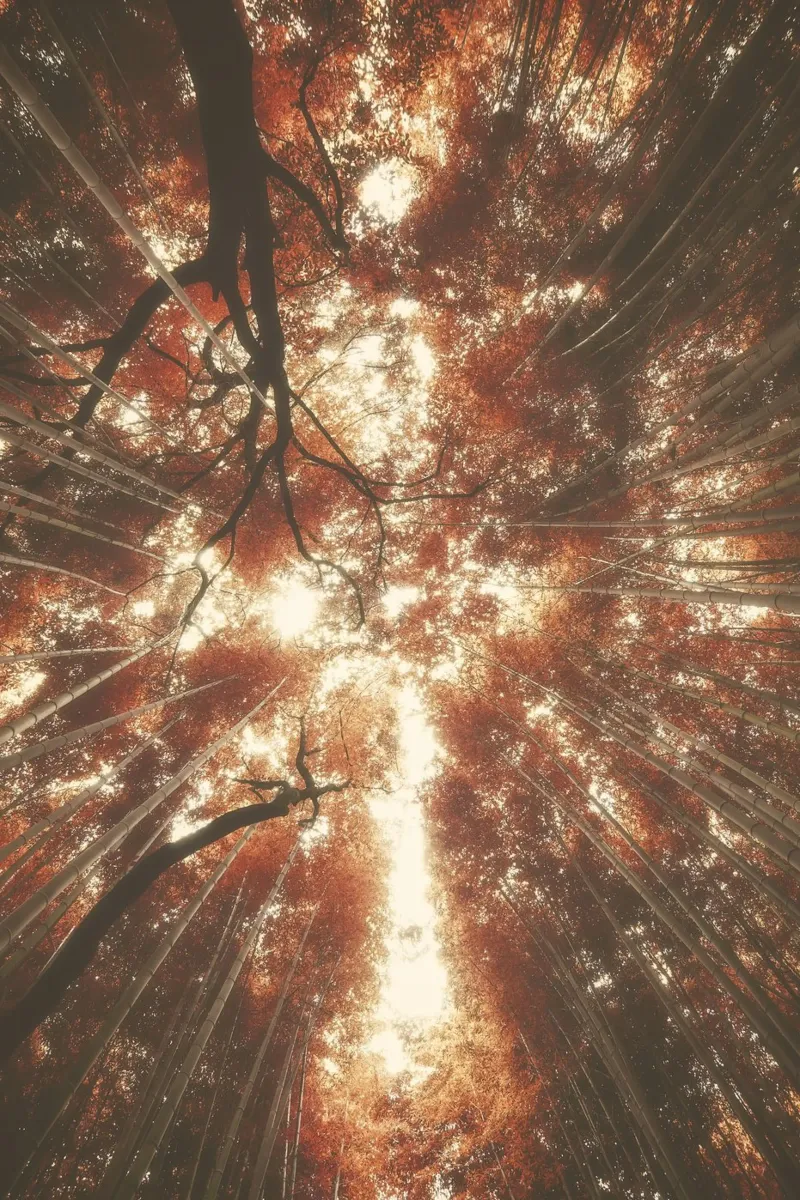 Bambus Wald a Kyoto poster con telaio in plastica da thetraveller