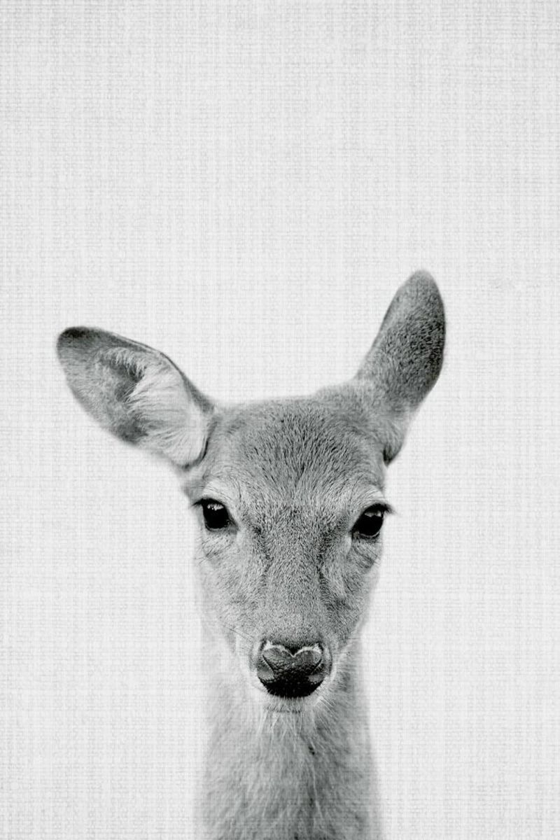 Print 90 Leinwand von Lila x Lola