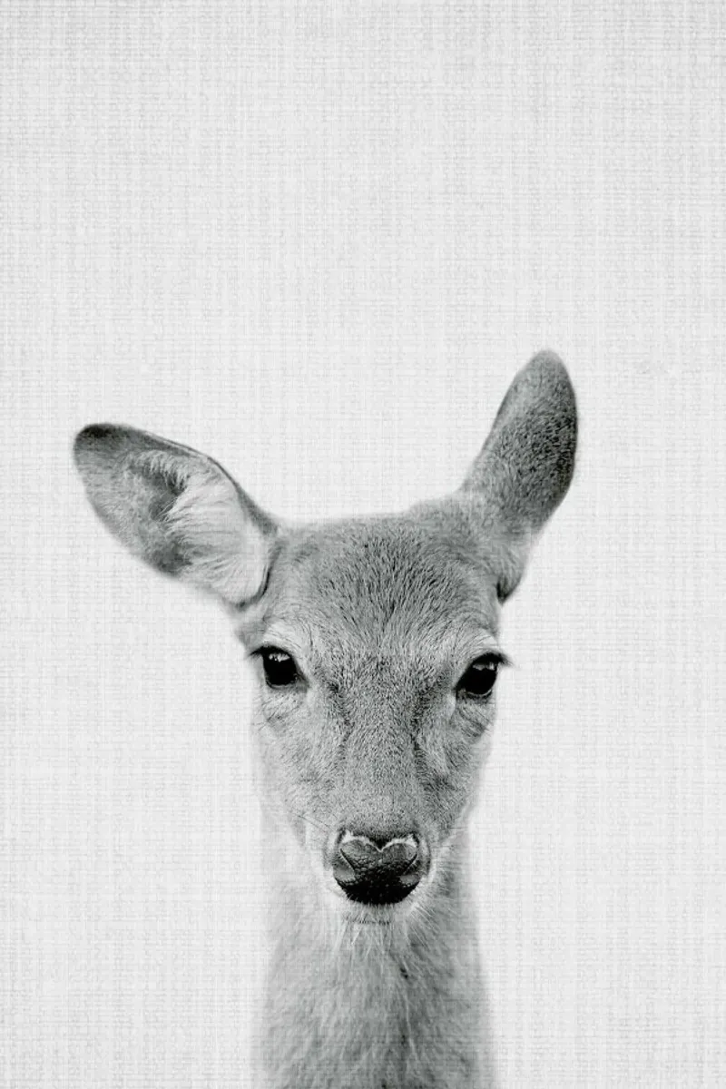 Print 90 carta hahnemühle da Lila x Lola