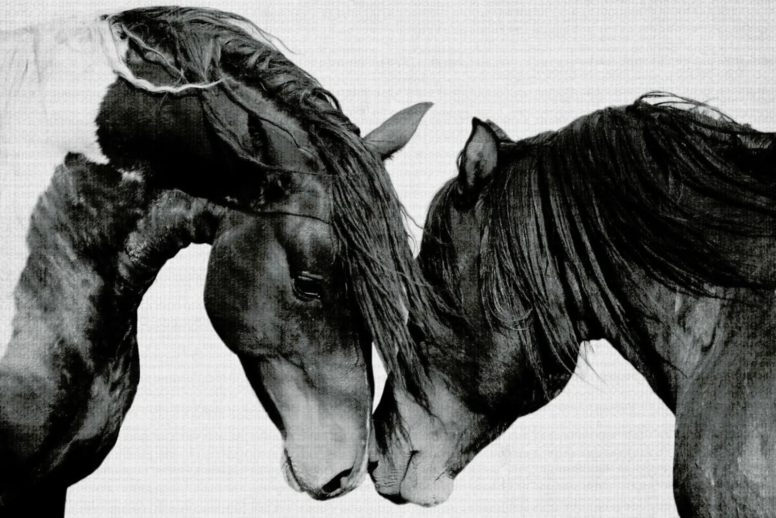 Print 185 poster by Lila x Lola
