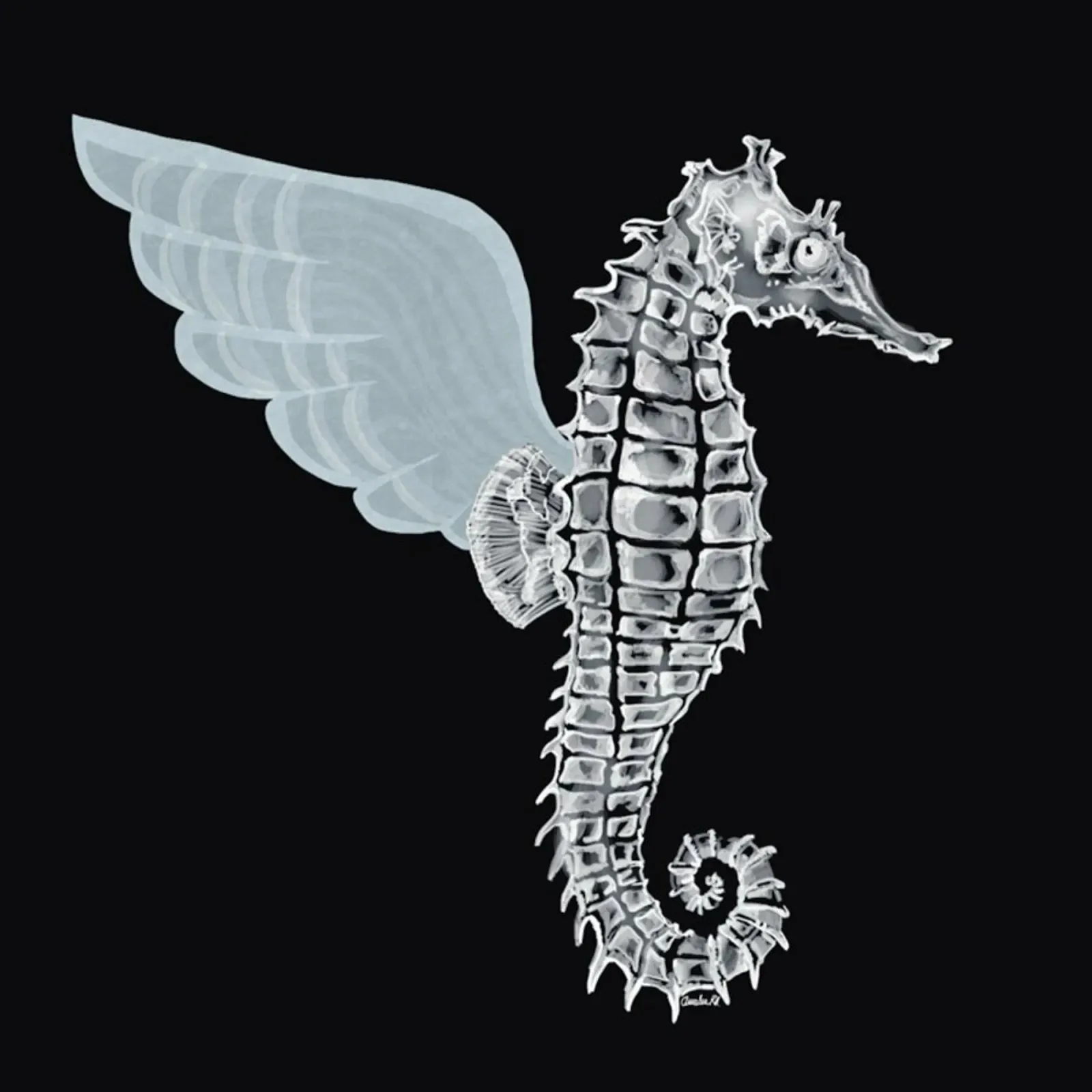 Pegasus pellicola backlit da Amalia Restrepo