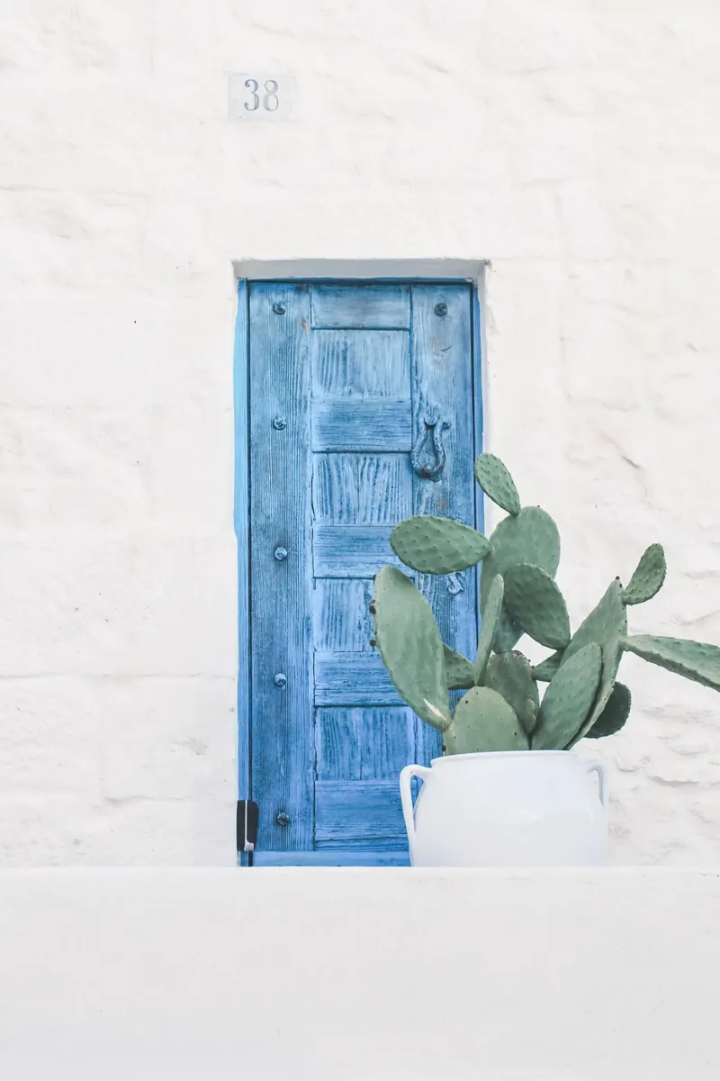 Puglia, Italy I Minimalist blue door and bohemian cactus hahnemühle by Julie Travel Photography