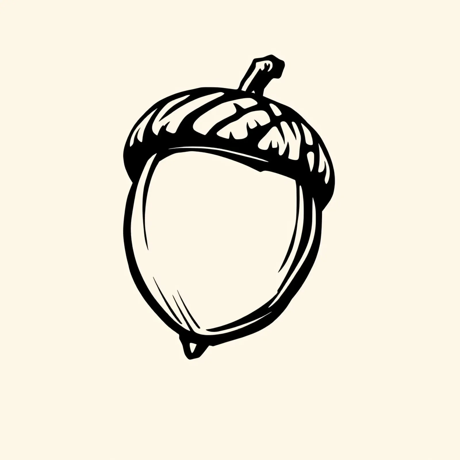 Illustrazione dettagliata di una singola ghianda in bianco e nero alluminio dibond da DesignDoodle