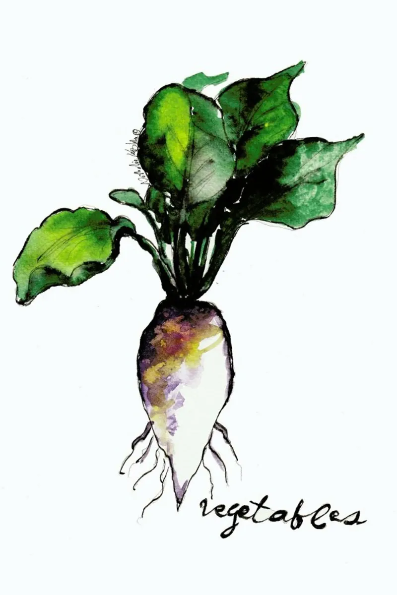 Vegetables pellicola backlit da Nathys_illustration