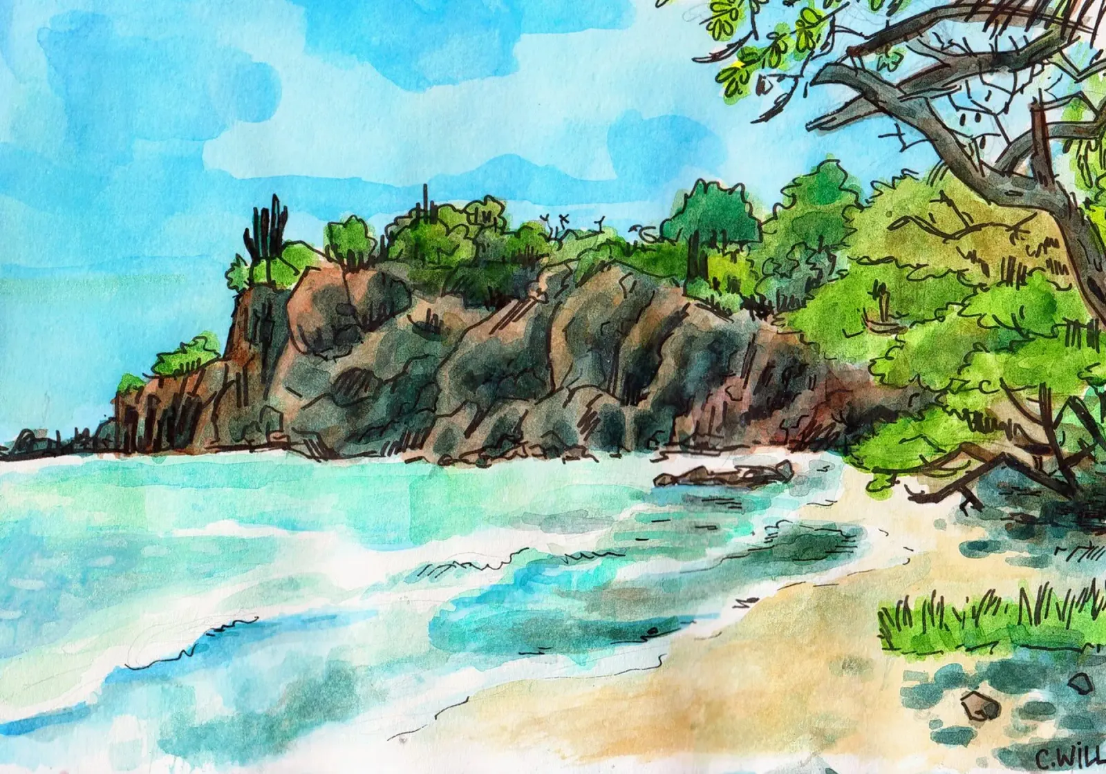 Cliff in Martinique hahnemühle by C.WILL