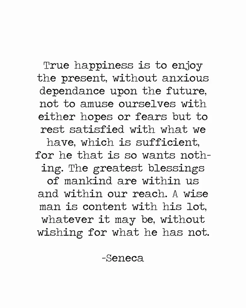 Saggezza stoica Famoso ispiratore di Seneca Citazione in bianco e nero poster con telaio in alluminio da Summer Soul Co. - Quotes