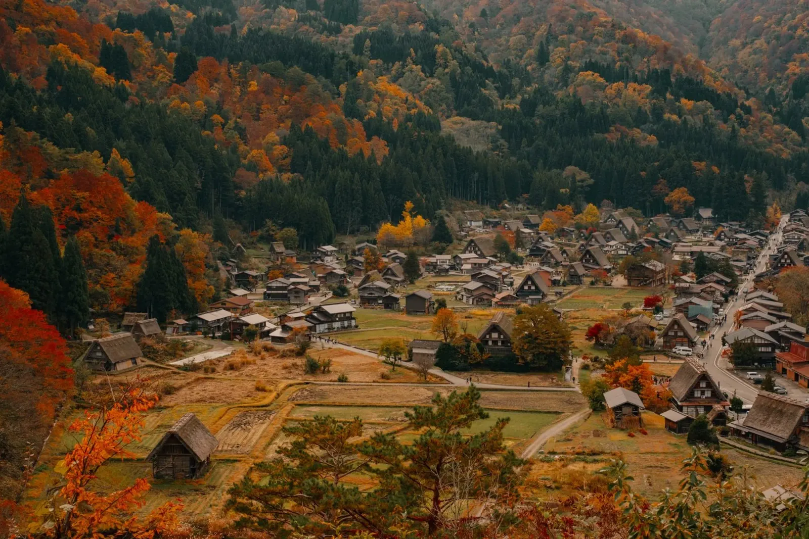 Villaggio agricolo giapponese in autunno - Shirakawa-go carta hahnemühle da Marcel Bisig