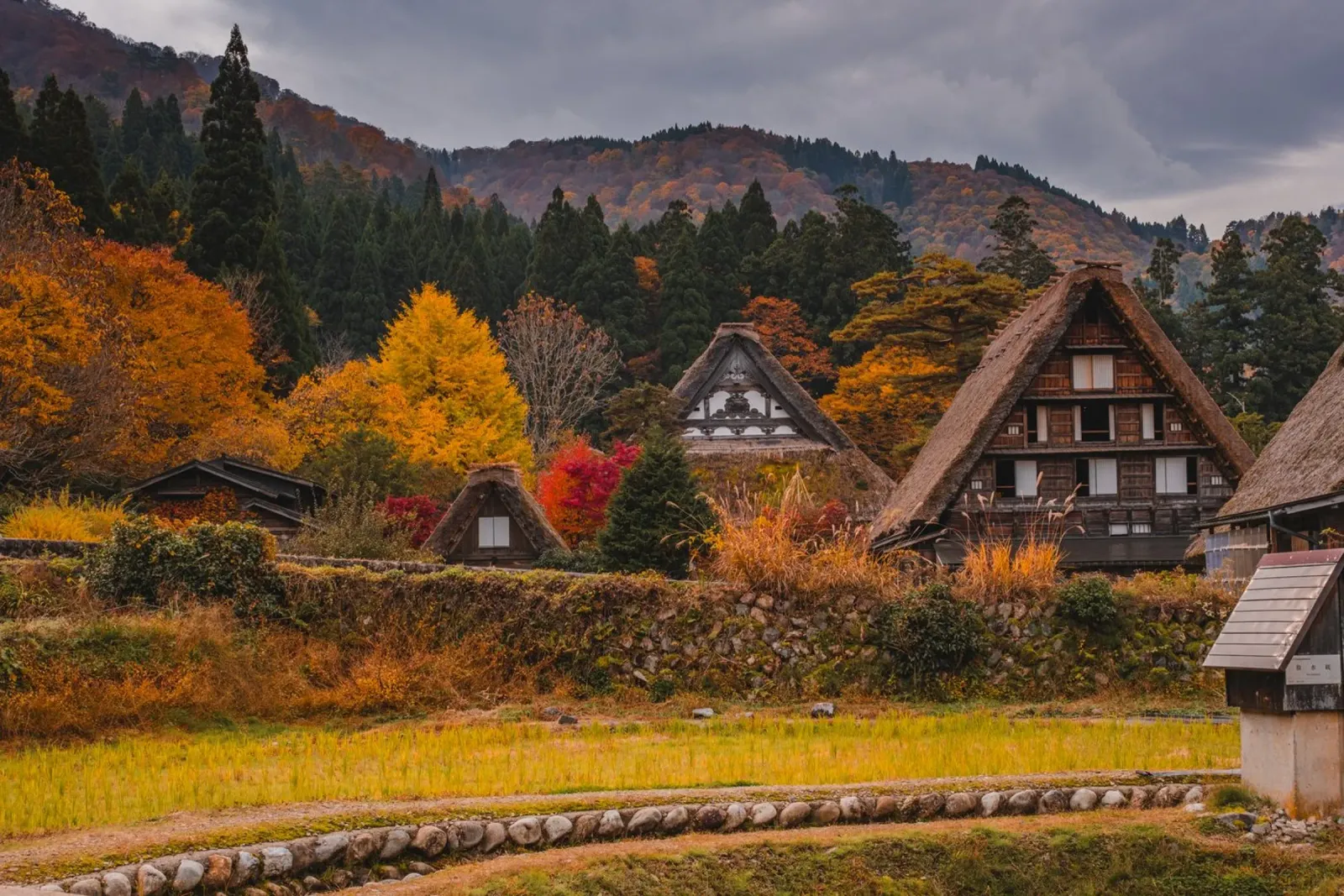 Case coloniche giapponesi in autunno - Shirakawa-go pellicola backlit da Marcel Bisig