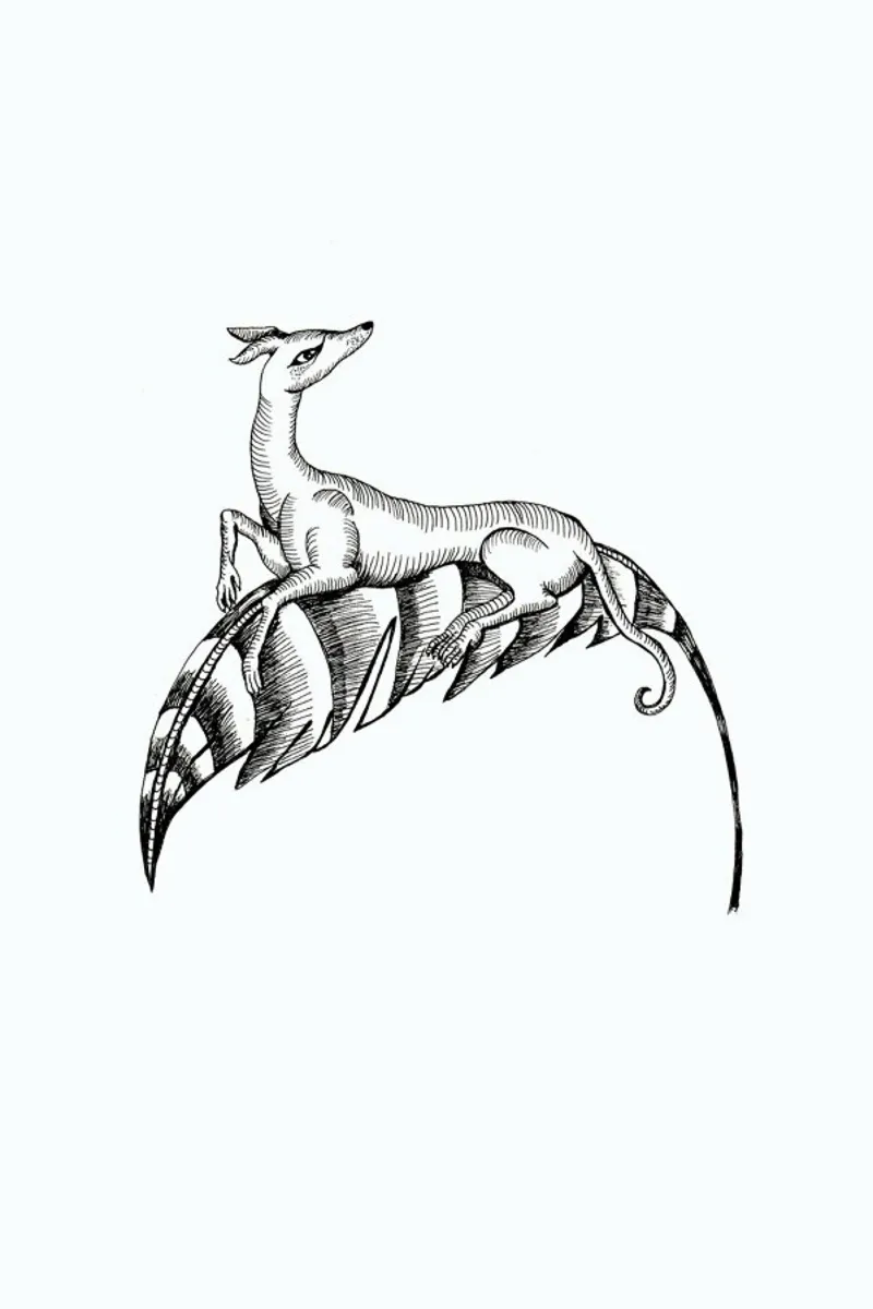 Fly Dog White poster da Daniela Roessler