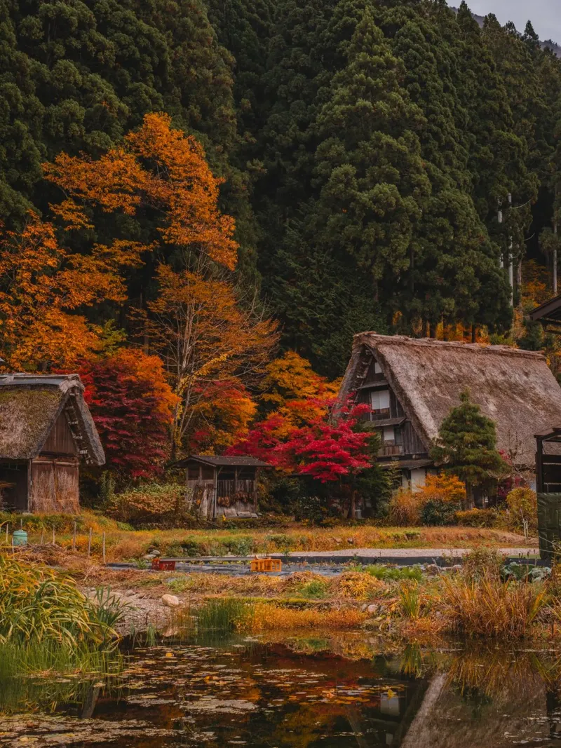 Japans boerendorp in de herfst - Shirakawa-go canvas met Baklijst van Marcel Bisig