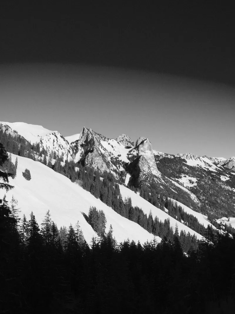 Shadow of the Peaks pellicola backlit da FujiSwiss