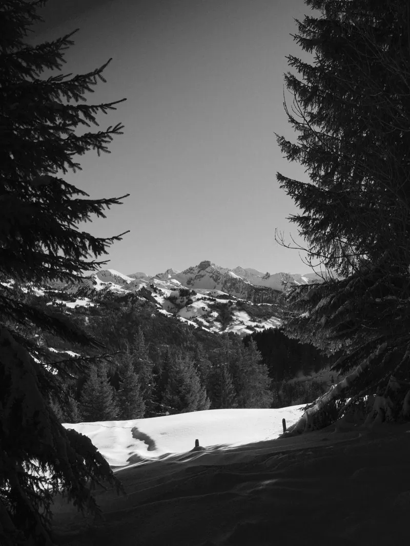 Alpine Monochrome Serenity pellicola backlit da FujiSwiss