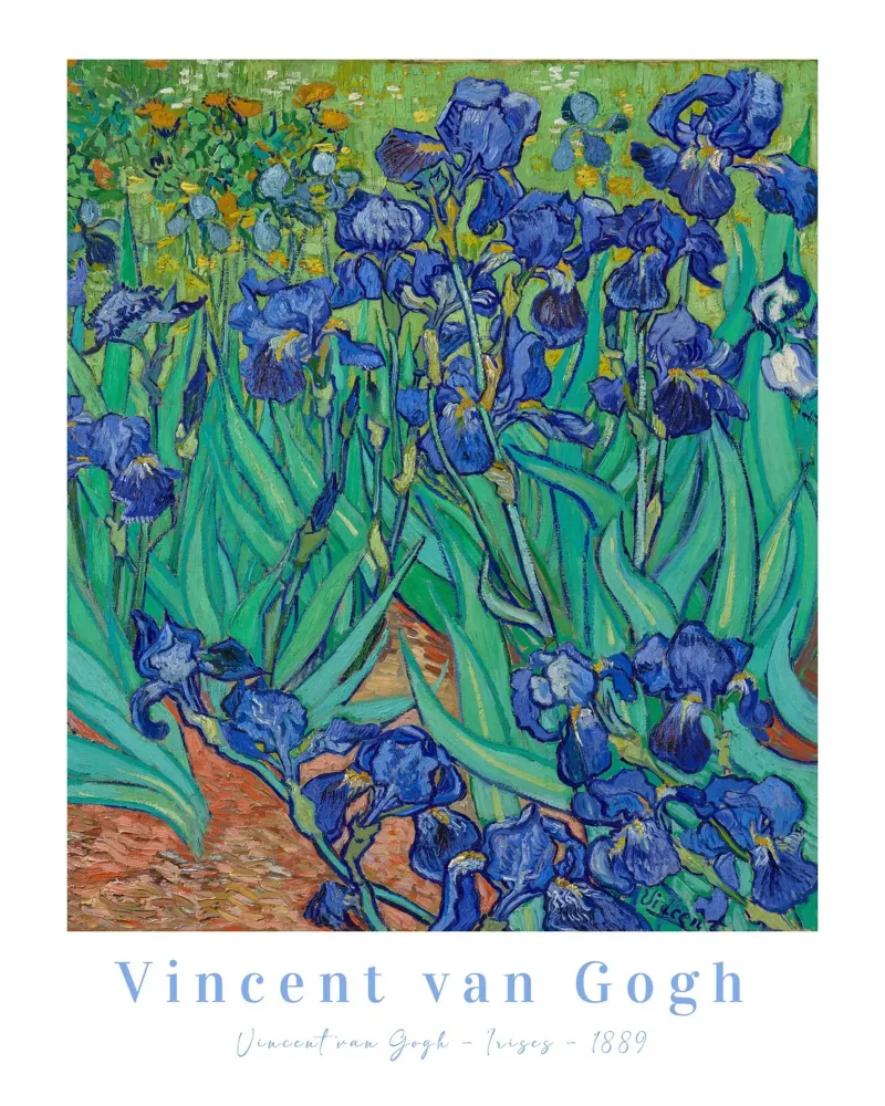 Vincent van Gogh iris viola, Pittura floreale poster con telaio in plastica da ArtHaus