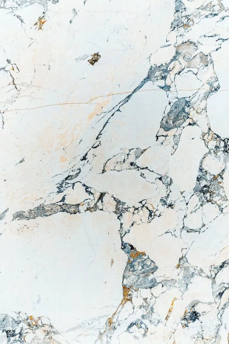 Venus poster con telaio in legno da Paul Aidan Perry