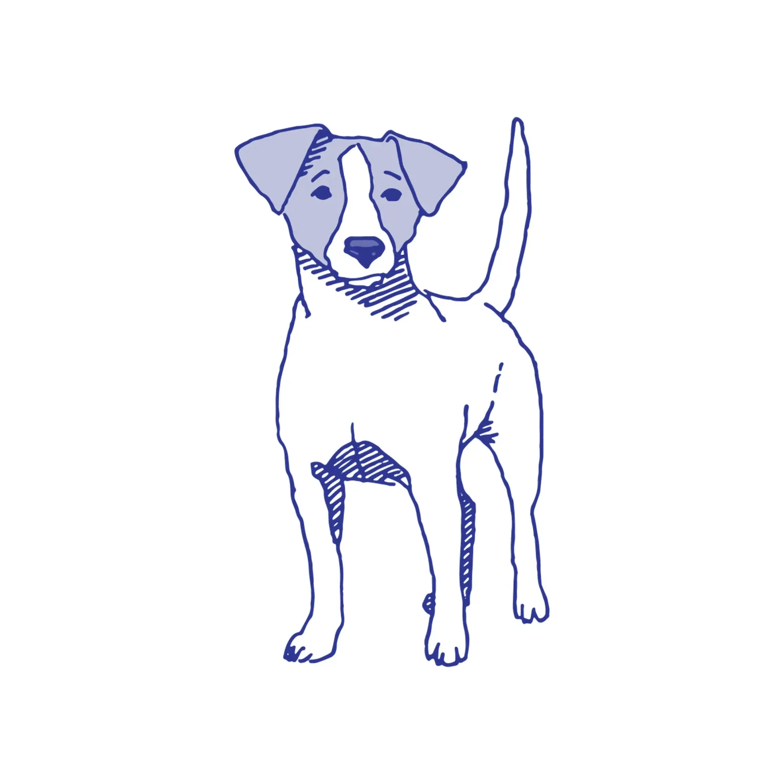 Jack Russell Terrier Hahnemühle von Face & Content