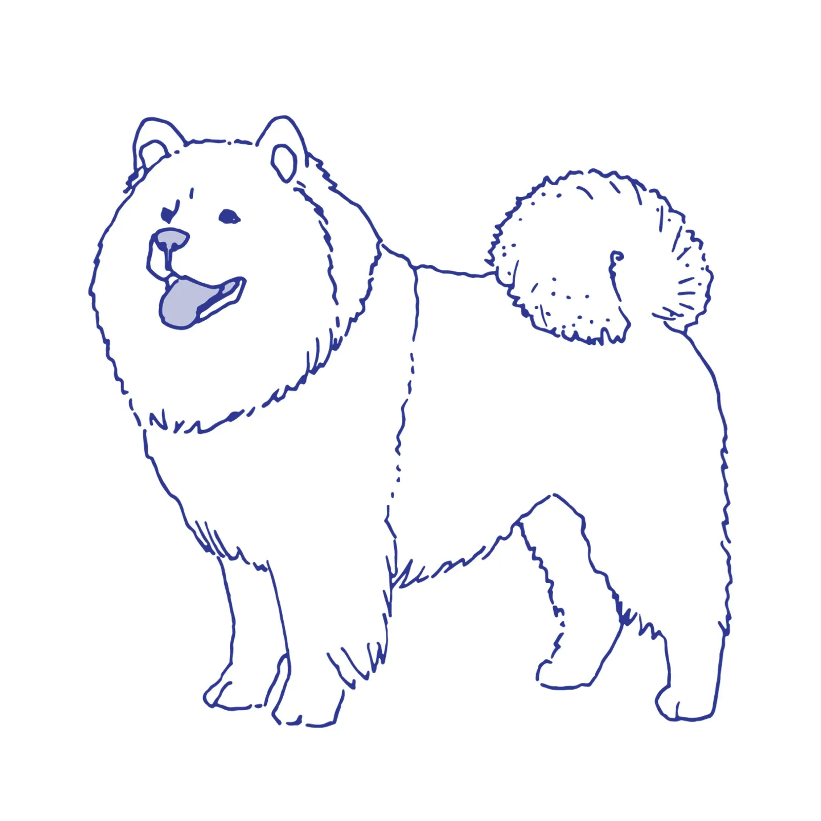 Chow-Chow pellicola backlit da Face & Content