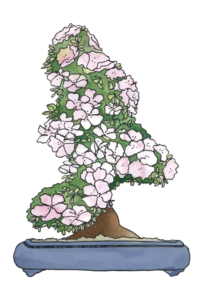 Bonsai poster con telaio in legno da Face & Content