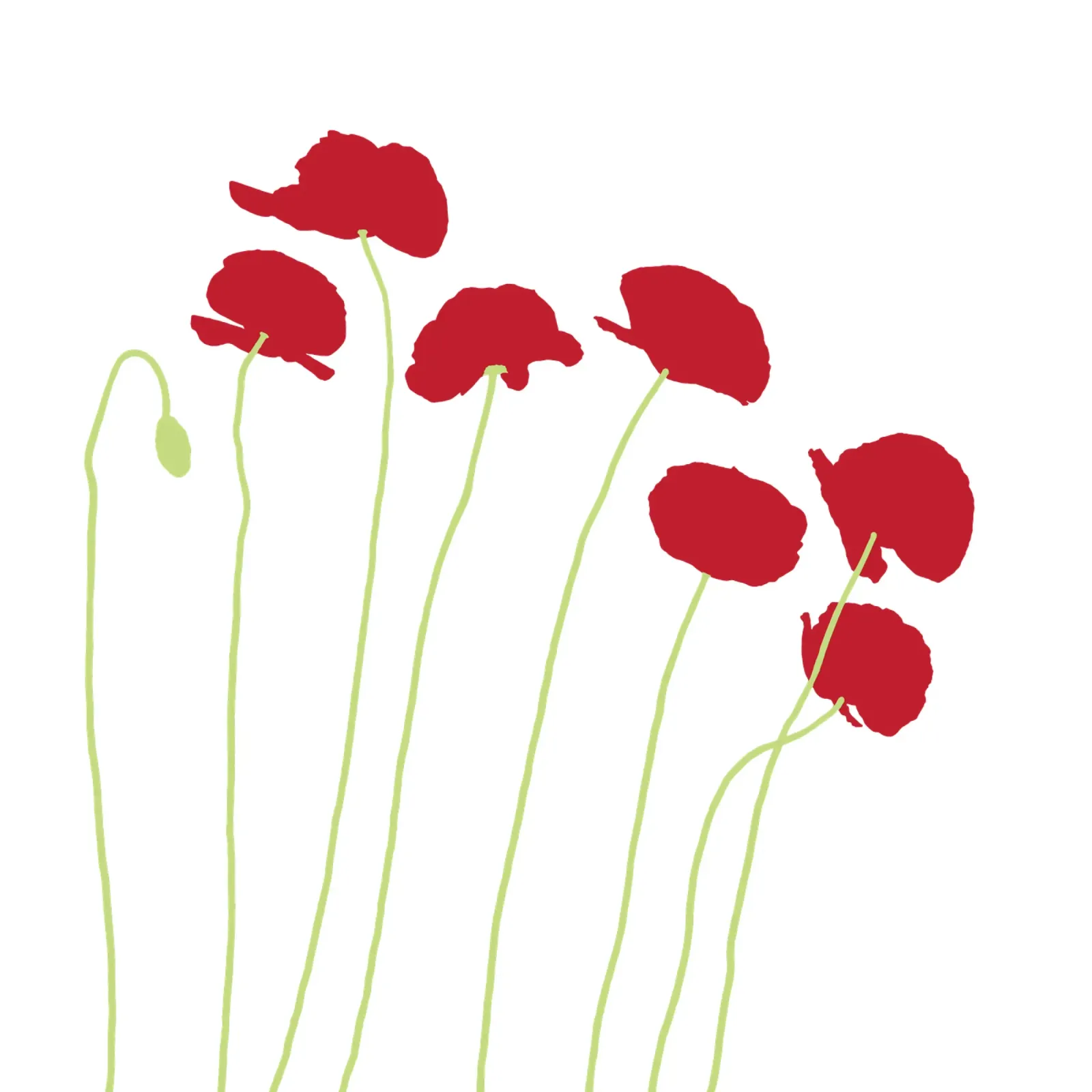 Poppy canvas by Face & Content