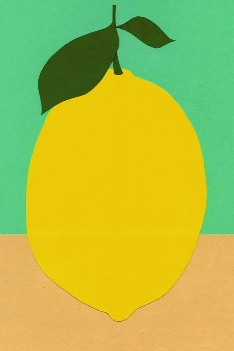 Lemon with Two Leaves pellicola backlit da Rosi Feist