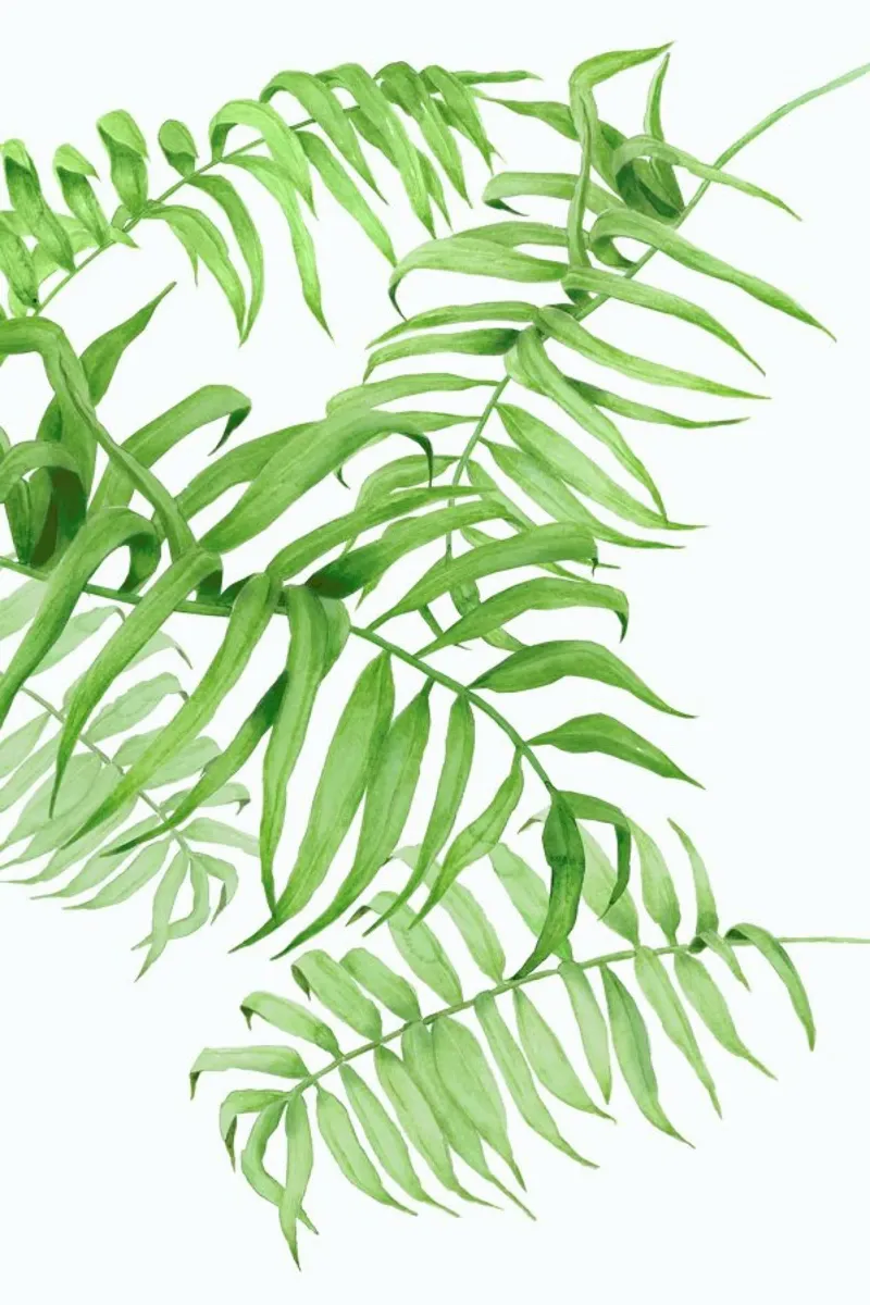 Tropical No. 1 poster con telaio in alluminio da typealive