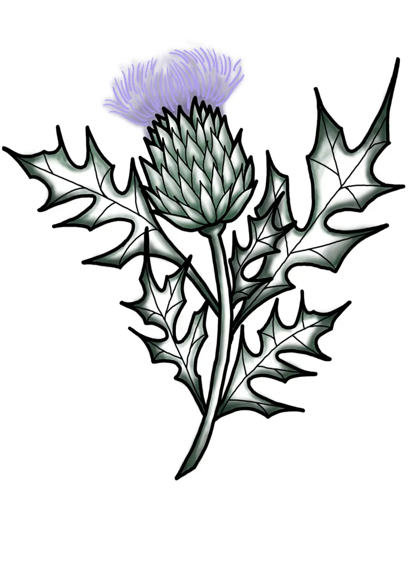 Lineart | Distel alluminio dibond da venten