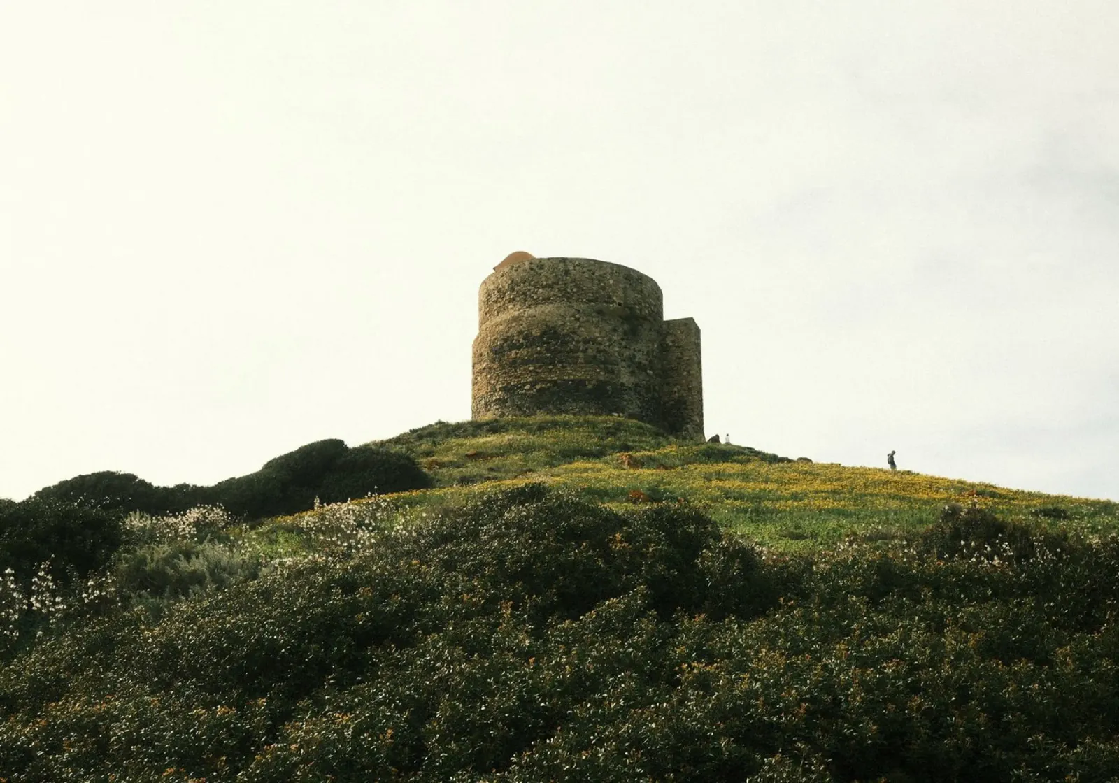 Historic Hilltop Tower in Bloom pellicola backlit da FujiPrints
