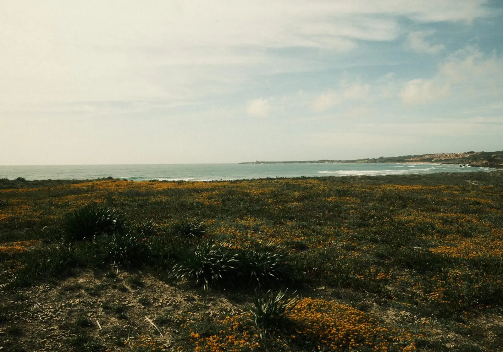 Golden Fields poster da FujiPrints