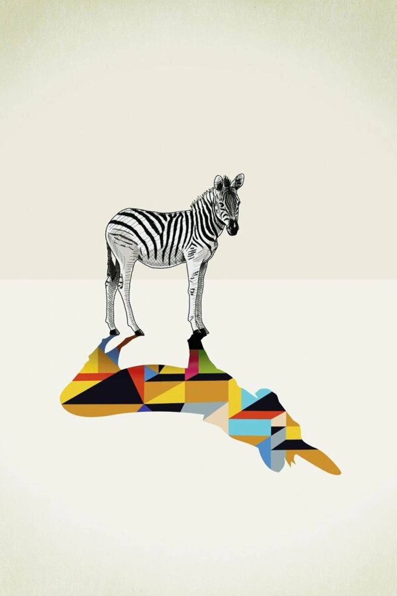 Walking Shadow - Zebra pellicola backlit da Jason Ratliff