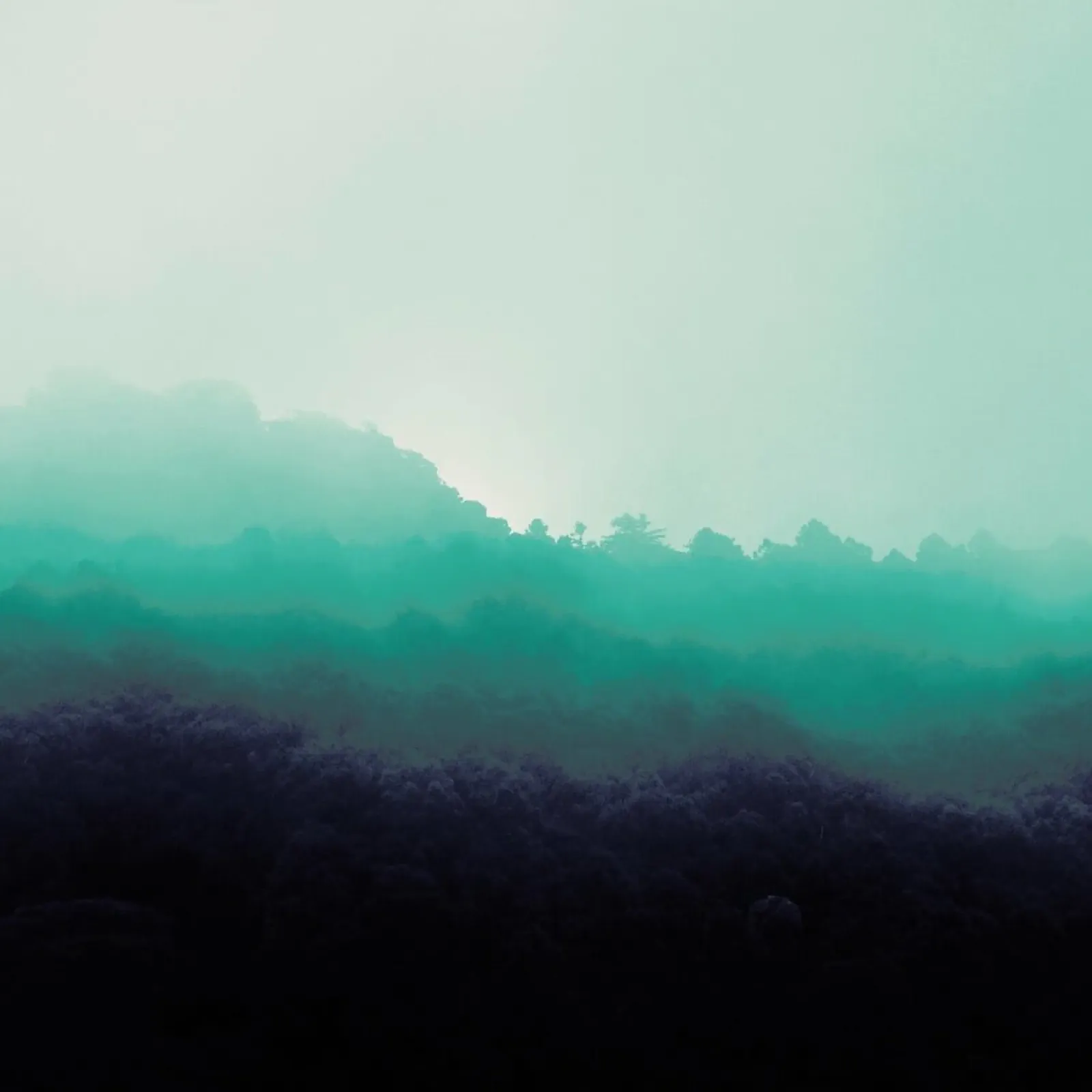Forest Bathing carta hahnemühle da Ruei