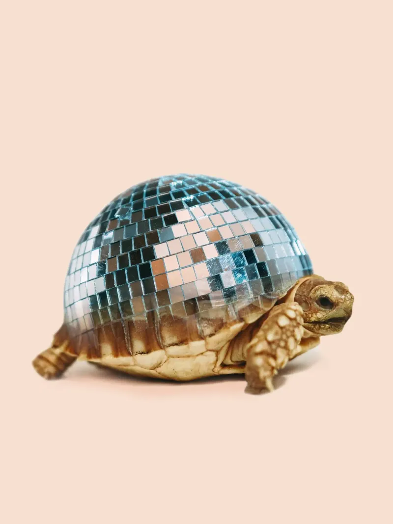 DISCO TURTLE plexiglass da Dagmar Pels