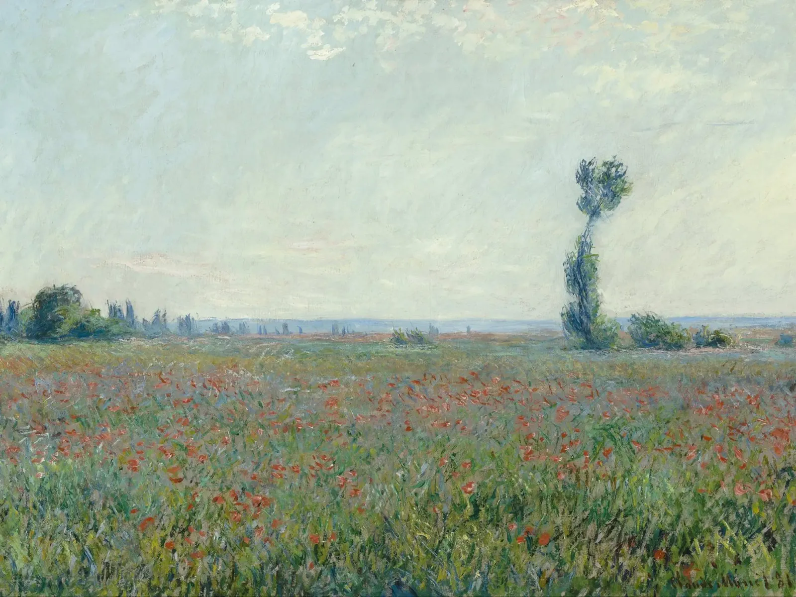 Claude Monet - Campo di papaveri plexiglass da Timeless Artworks