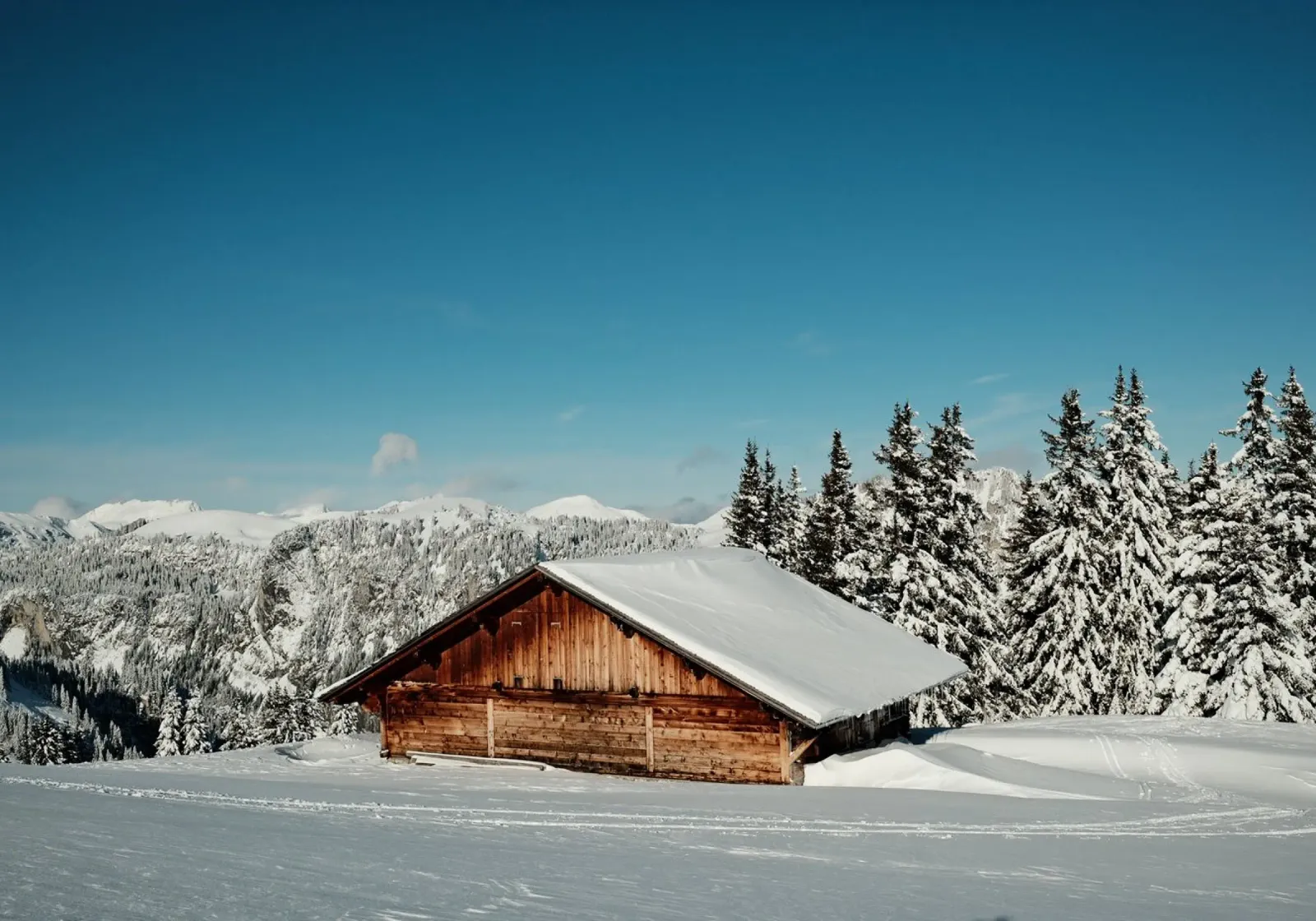 Alpine Winter Retreat forex plate by FujiSwiss