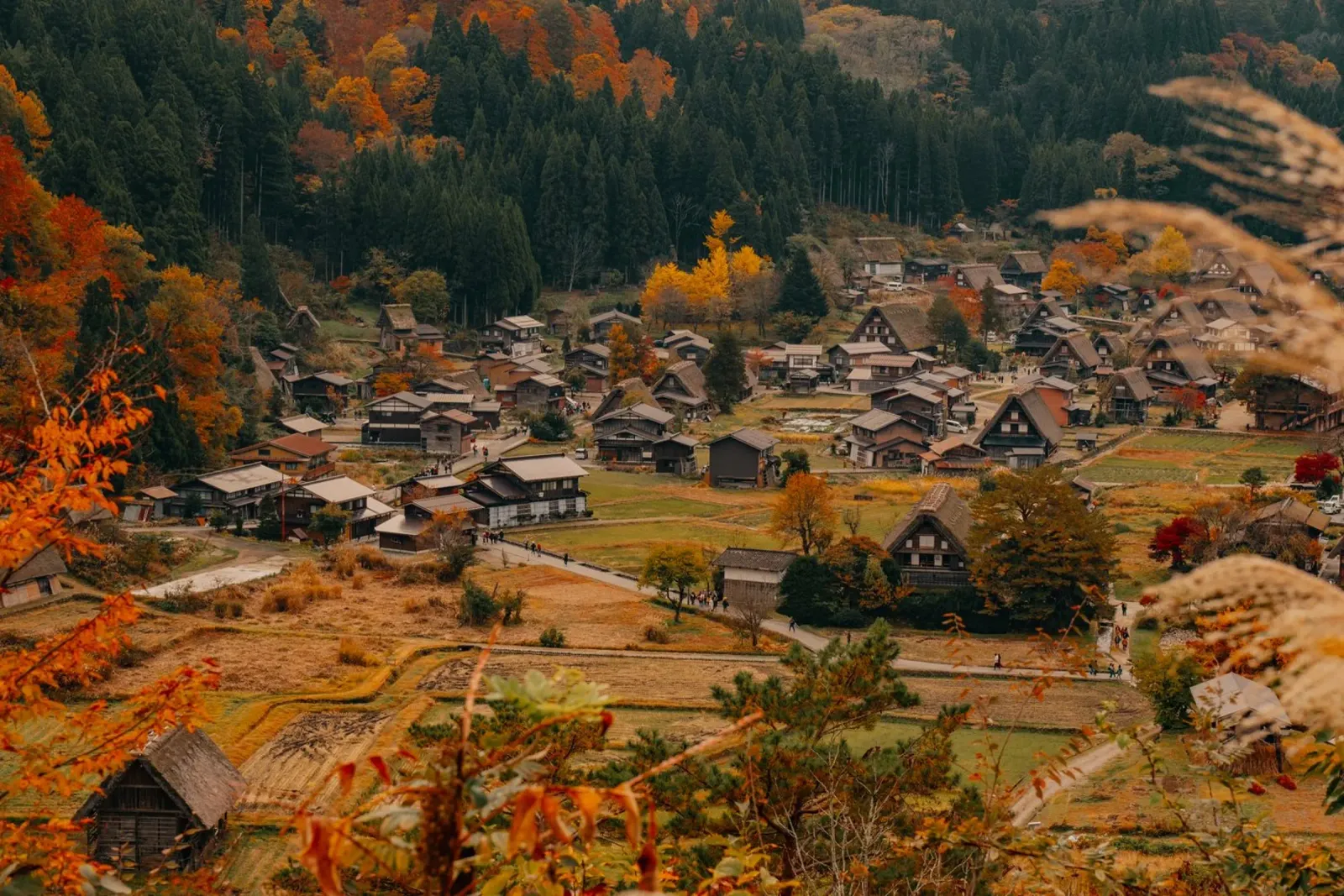 Villaggio agricolo giapponese in autunno - Shirakawa-go pellicola backlit da Marcel Bisig